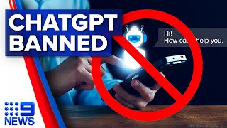 AI tool Chat GPT banned at Victorian public schools | 9 News Australia