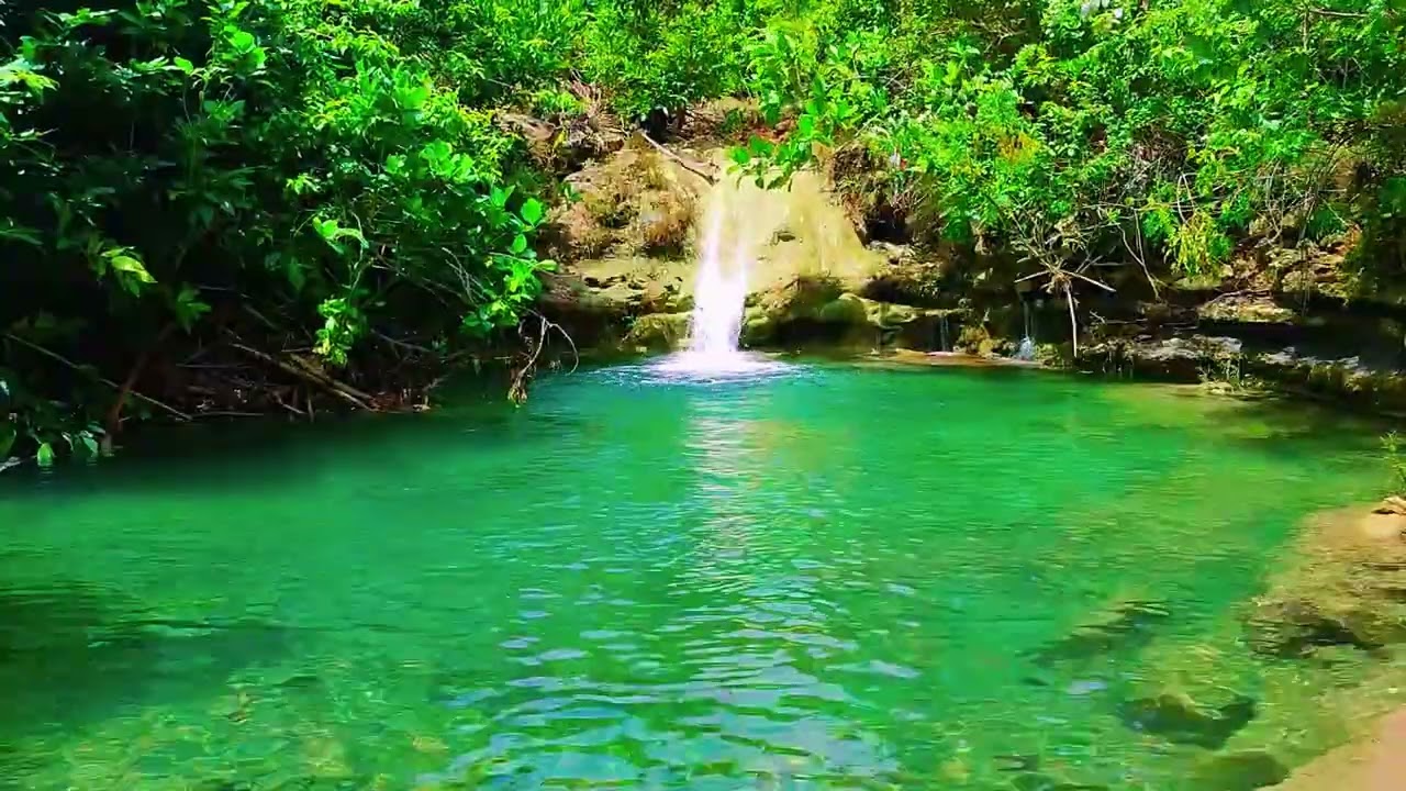 SPA Relaxation Piano Music 🌳 Fall Asleep Faster, Wake Up Refreshed ,NO AI 2