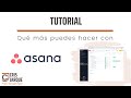 Tutorial de Asana - Planifica proyectos, organiza y gestiona tareas o equipos (Parte 2)