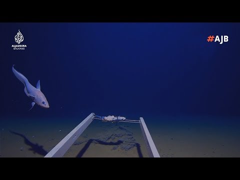 Video: Koji Je Najdublji Oceanski Rov