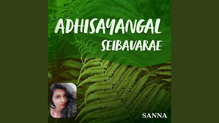Adhisayangal Seibavarae