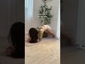 くびれるプランク #tsukiyoga #plankchallenge