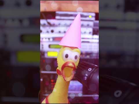 Happy Birthday Song Featuring Mr Chicken Official