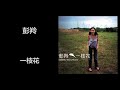 彭羚 一枝花