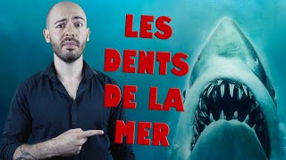 SO  Les Dents de la Mer (Rétrospective Jaws 1/4)