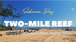 Sodwana Bay: Two-Mile Reef (Simon's Cave, Anton's, Bikini, Mellow Yellow) Net Worth
