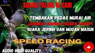 Download Lagu MASTERAN MURAI AIR TEMBAKAN PEDAS!!! DIJAMIN CEPAT MASUK DAN LAWAN KETAR-KETIR | SUARA ASLI!!!!! MP3