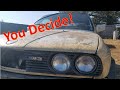 M3 or 318i?? - E30 M3 Find Part 2