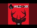 Wild (Original Mix)