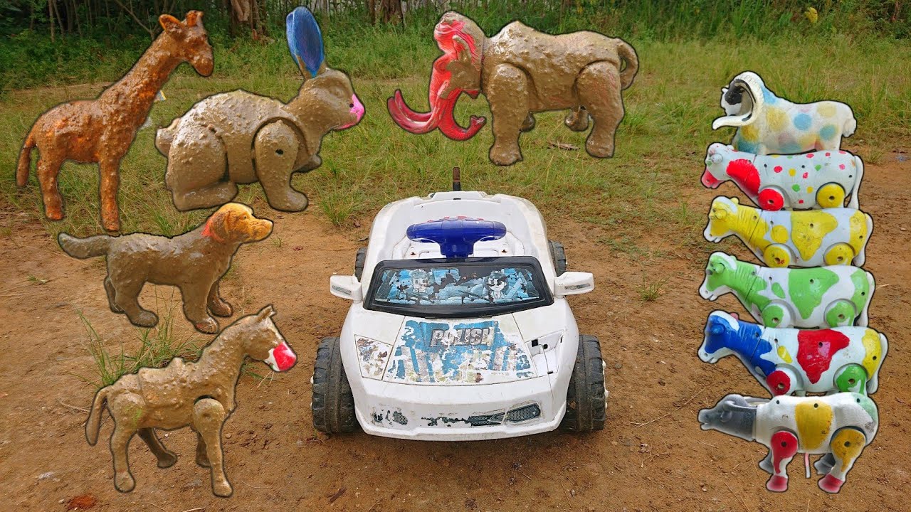 WADIDAU ‼️ PROSES POTONG SAPI KURBAN & GAJAH MANDI