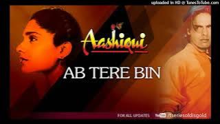 Ab Tere Bin Jee Lenge Hum (Evergreen) (Kumar Sanu) :- Original Song HD MusicBeyondYours