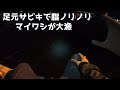 足元サビキで脂ノリノリマイワシが大漁