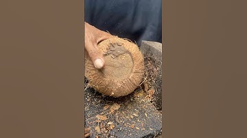 smart way to remove old coconut from its shell
