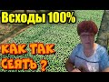 5 факторов для хороших всходов при посеве!