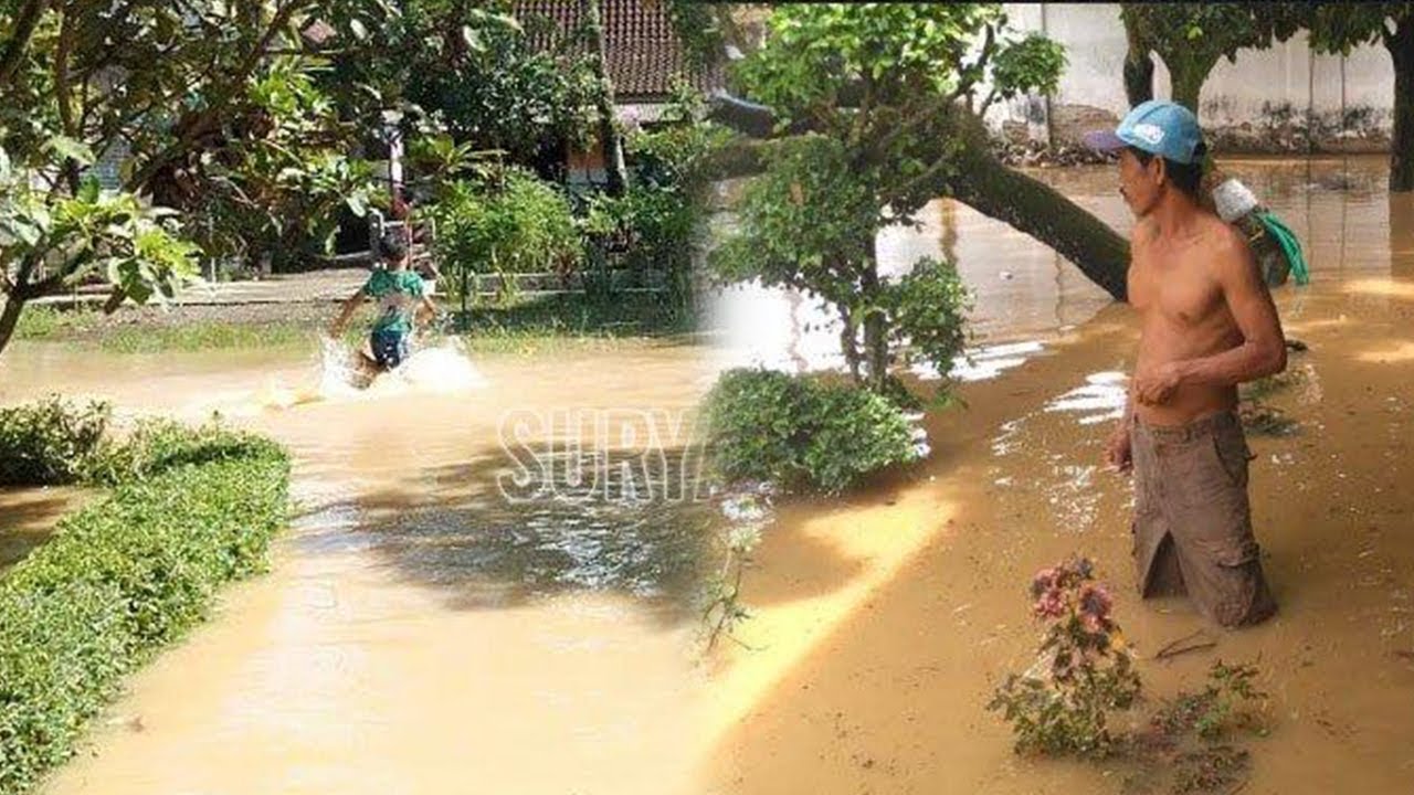 Banjir Tahunan Kembali Melanda Kraton Tempurejo Kabupaten Jember Youtube Banjir Tahunan Kembali Melanda Kraton Tempurejo Kabupaten Jember Youtube
