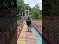"Mr. Wanderer" is on the move! Exploring new paths.