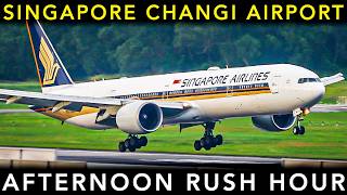 ✈️ 25 CLOSE UP Aircraft TAKEOFFS & LANDINGS 🇸🇬 Singapore Changi Airport Plane Spotting [SIN/WSSS]