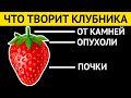 Что творит КЛУБНИКА с организмом? Почему нельзя выбрасывать хвостики и чашелистики клубники?