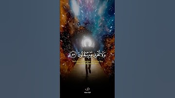 ولا تخزني يوم يبعثون | القارئ إسلام صبحي | تلاوات جميلة