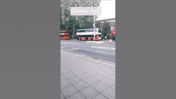 #tfl #londonbuses #buses #shortvideo