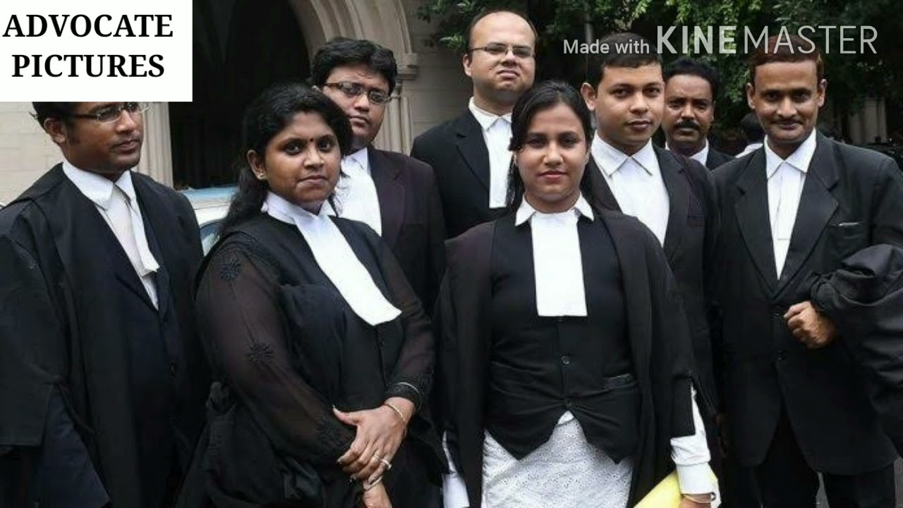 Lawyer in Office with Law Book and Dossier Stock Image - Image of latina,  standing: 31285661