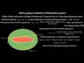 VietaJump for 3-orbits given a Brianchon point