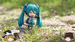 【家庭菜園 #80】20210115　現状報告編