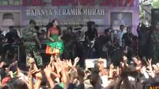 New Pallapa Brondong Tua ~ All Diva (Live Driyorejo 2013)