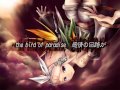 極楽鳥 -bird of paradise-.mp4