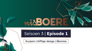 Nisboere 3 Episode 1 Kurpers Giftige Slange En Blomme