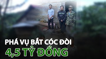 48 giờ giải cứu con tin vụ bắt cóc tống tiền 4,5 tỷ đồng | VTC14