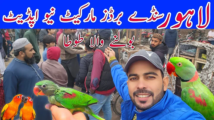 Lahore sunday birds market New update price #lahorientertainmentchannel #birds #parrot #pets #cute 