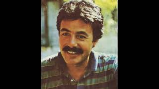 Ferdi̇ Tayfur~Gi̇tme Yari̇m Slowed+Reverb