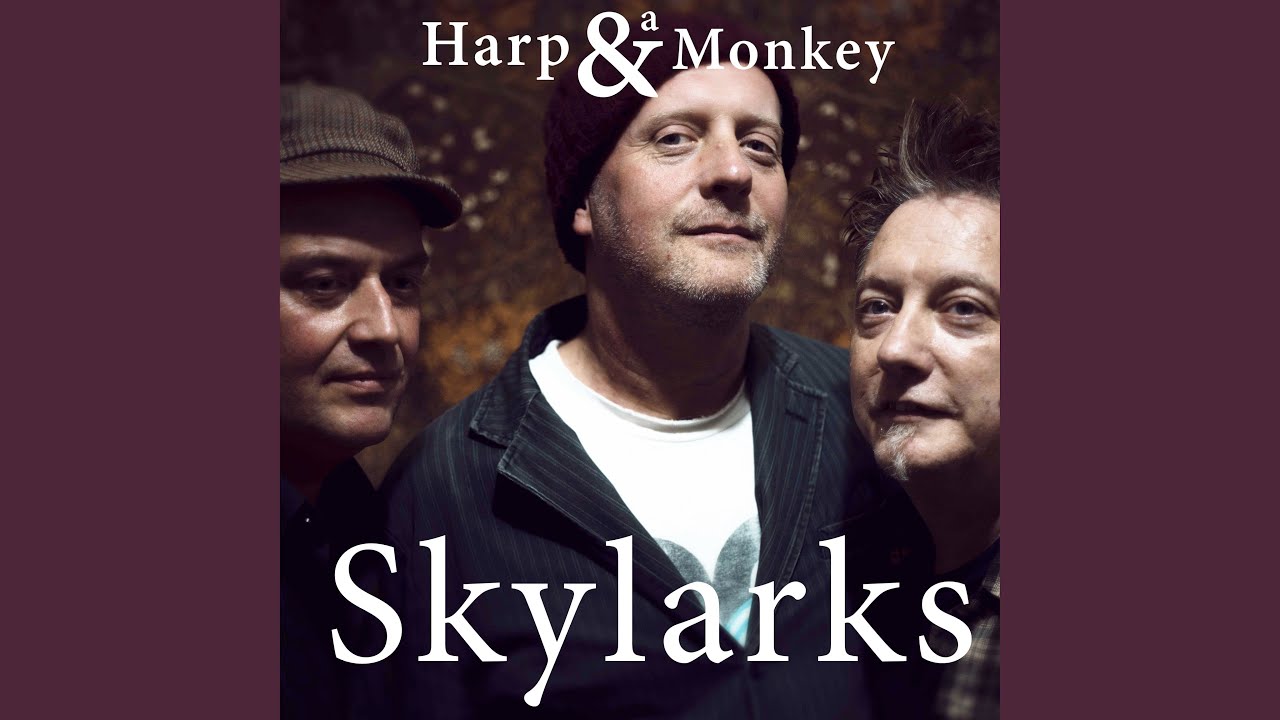 Guarda Skylarks su YouTube Guarda Skylarks su YouTube