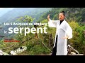 Les 5 animaux de wudang  le serpent