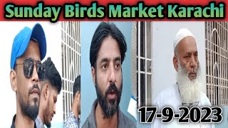 Lalukhet Bird Market Latest Update 17 9 2023 L Video No 130 L Sur Birds Channel