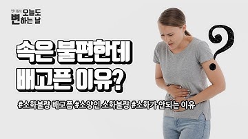 소화불량인데 배가 고프다면 식습관과 장을 살펴보자!