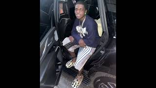 Kodak Black - Hit Stick (Fast)