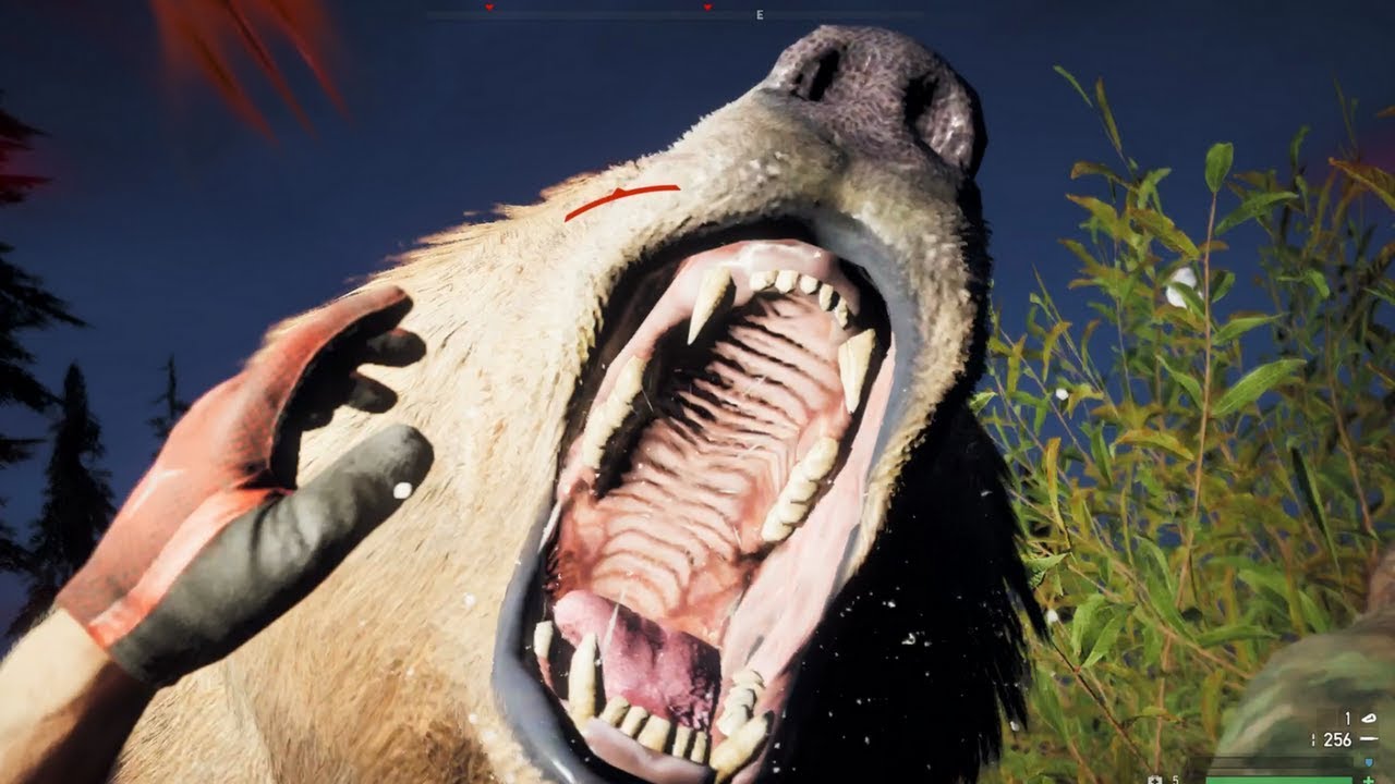 Grizzly bear vs wild life animals far cry 5 YouTube