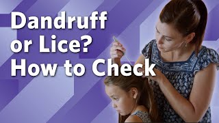 How to Check for Lice