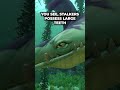 Why Stalkers Collect Scrap Metal In Subnautica? #shorts #subnautica