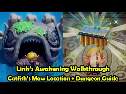 Catfish's Maw Location + Walkthrough - The Legend of Zelda Link's Awakening (Switch)