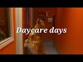 Daycare days with Finn!  June 22, 2025