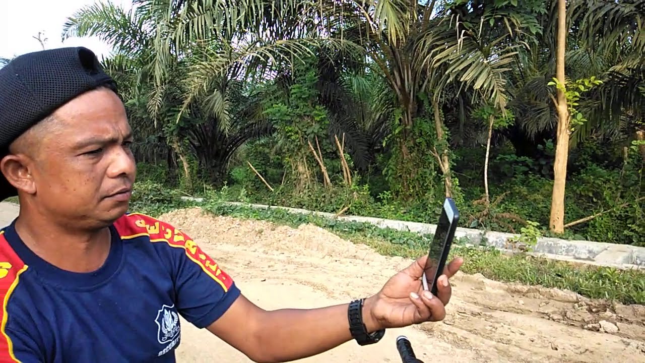 Mengejutkan ular piton raksasa yang mati,tanpa sebab - YouTube