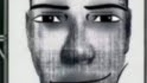 nicos nextbots but if I die the video ends