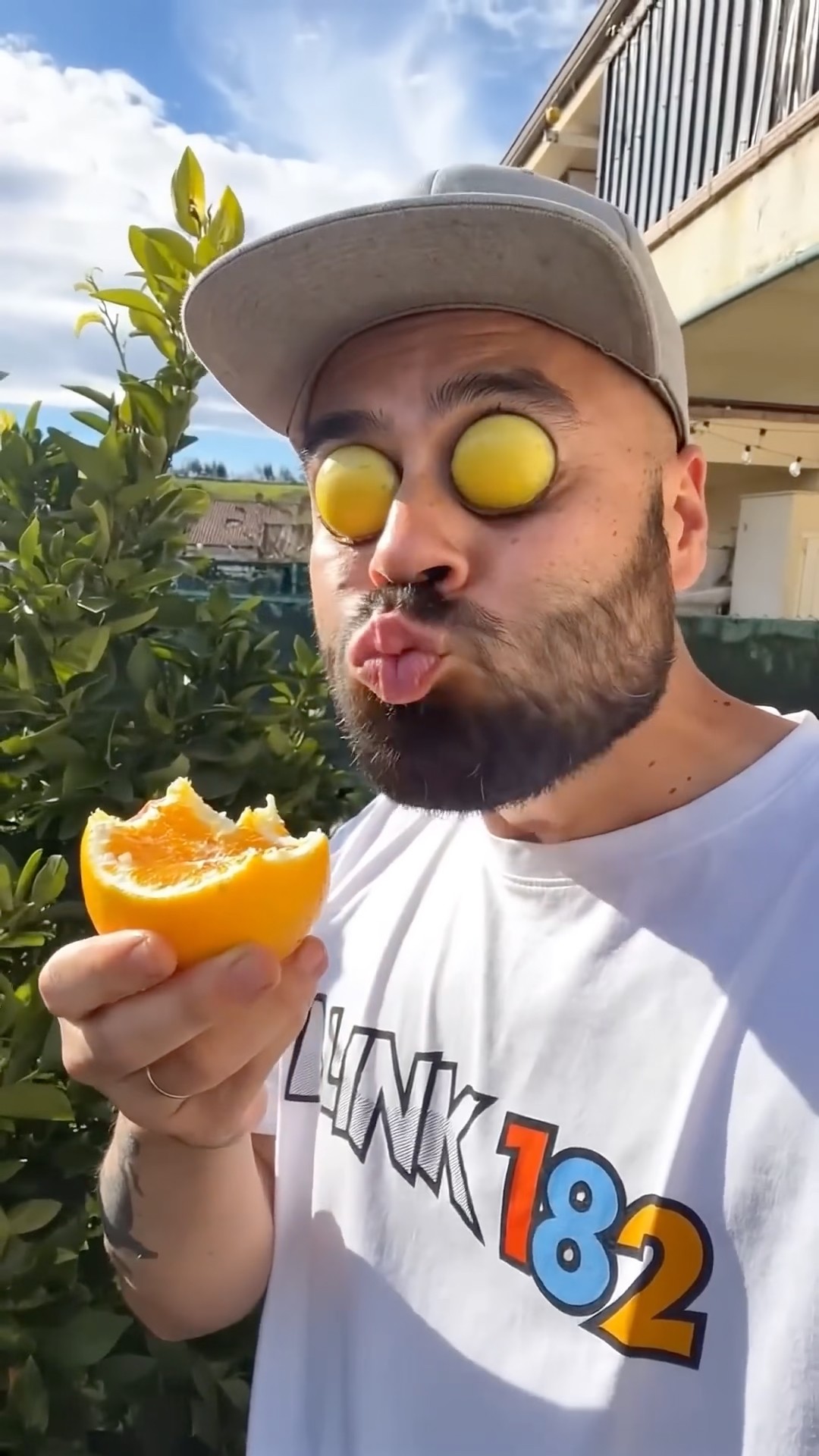 Want to try my oranges?🍊 - YouTube