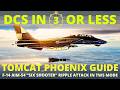 F 14 Phoenix Tutorial Tomcat AIM54 Ripple DCS In 3 Or Less