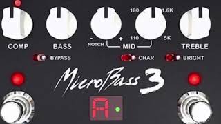 EBS MicroBass3 Test Drive