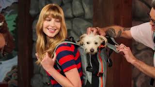 Good Mythical Morning! Trying Viral Pet Products With Our Dogs
