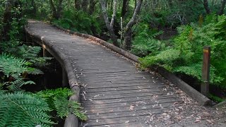 Lagoas de Bertiandos e S. Pedro de Arcos